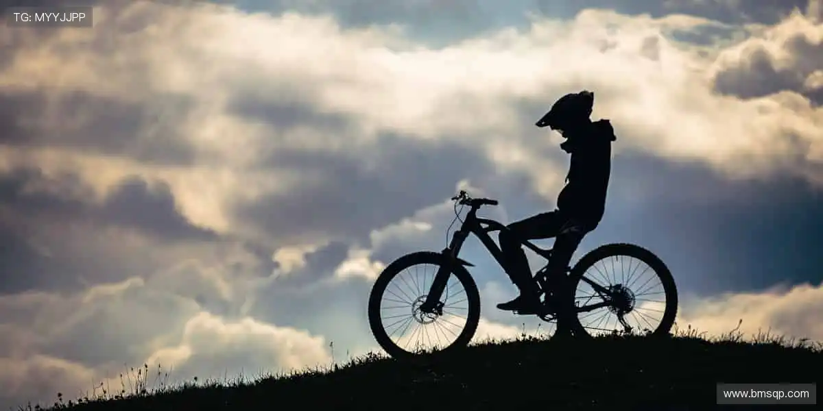 🏆 赛事激情，与全球观众同频共振！